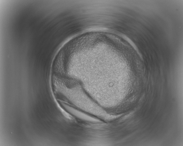 X0000068271245200605121838