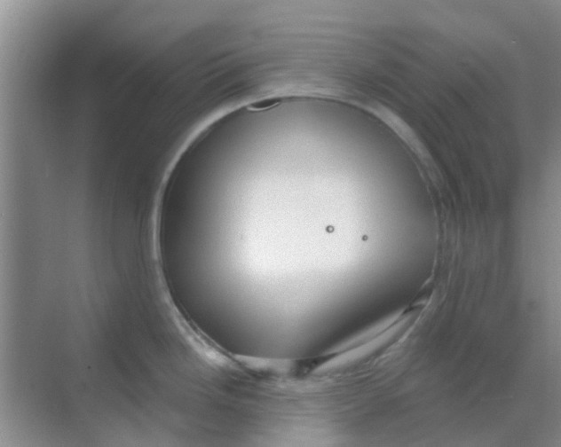 X0000068271246200605121838