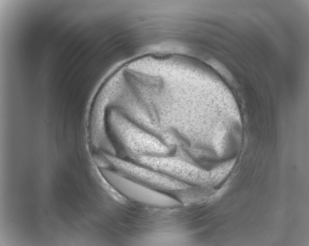 X0000068271248200605121838