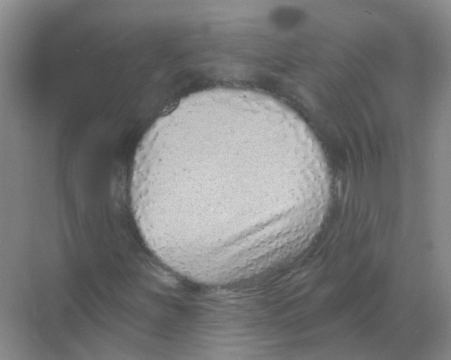 X0000068271251200605121837