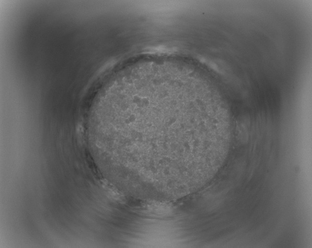 X0000068271254200605121837