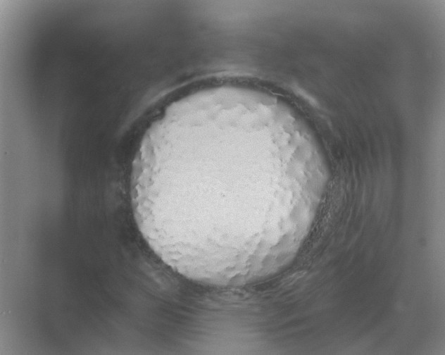 X0000068271255200605121837