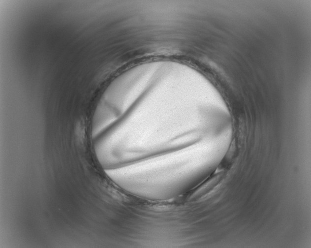 X0000068271257200605121837