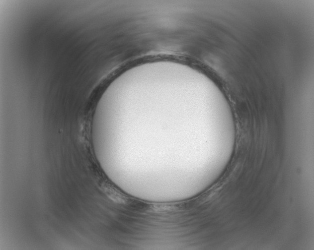 X0000068271258200605121837