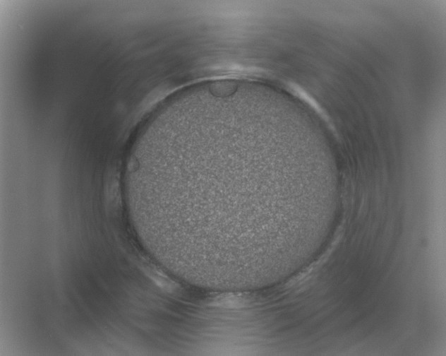 X0000068271259200605121837