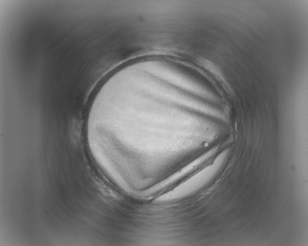 X0000068271260200605121837