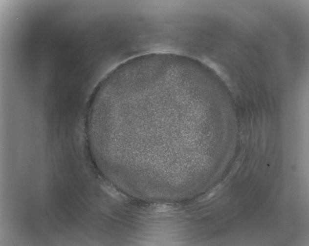 X0000068271263200605121837