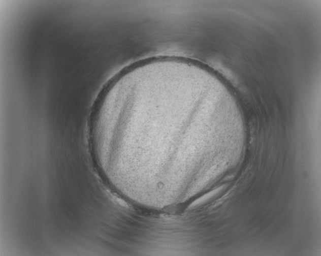 X0000068271264200605121837