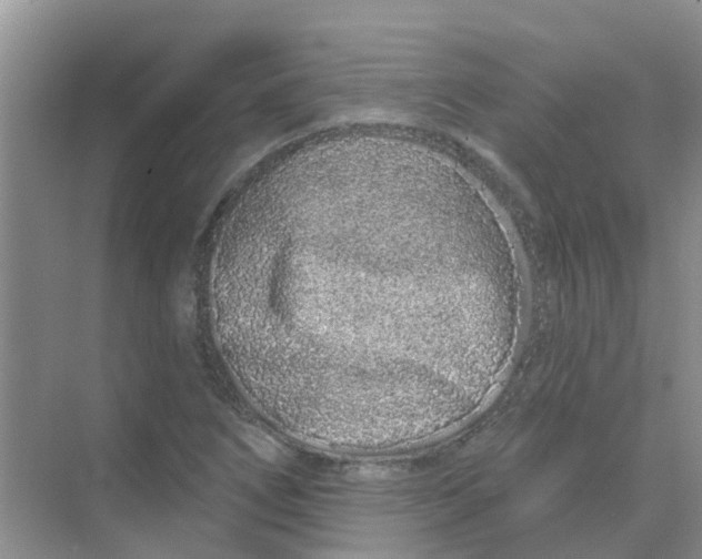 X0000068271266200605121837