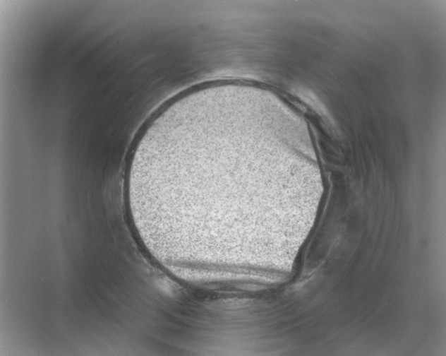 X0000068271268200605121837