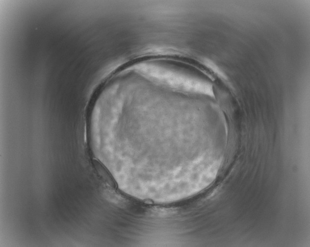 X0000068271269200605121837