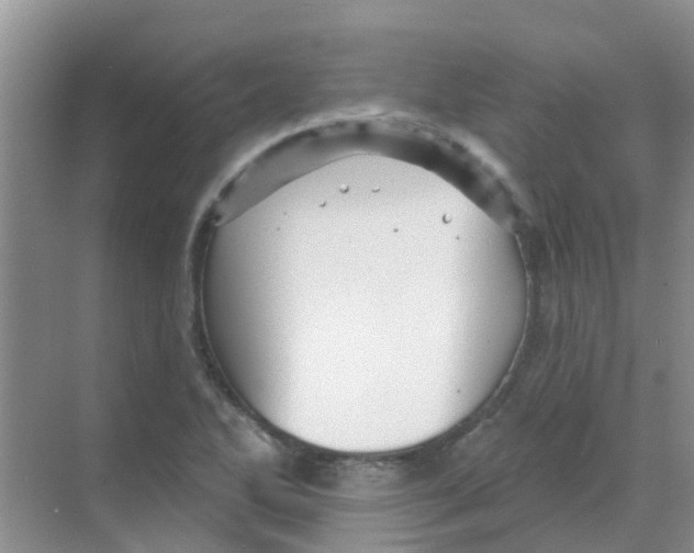 X0000068271270200605121837