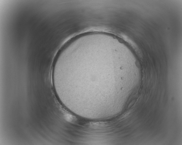 X0000068271272200605121837