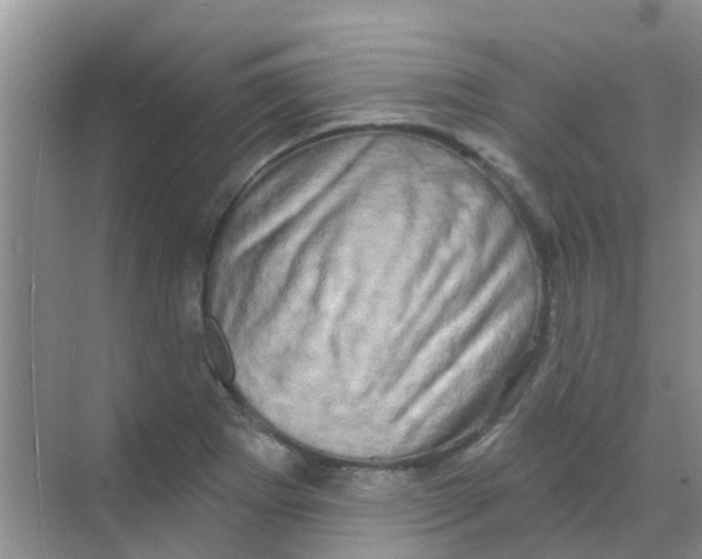 X0000068271273200605121837