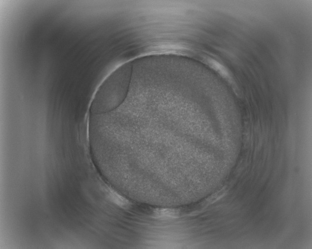 X0000068271275200605121837