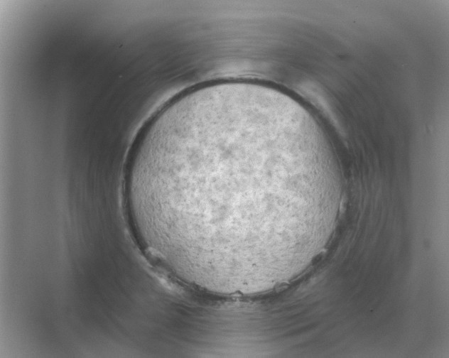 X0000068271277200605121836