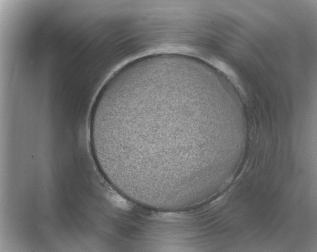 X0000068271280200605121836