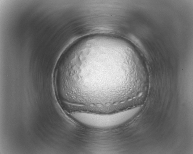 X0000068271283200605121836