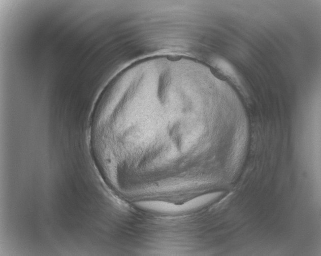 X0000068271284200605121836