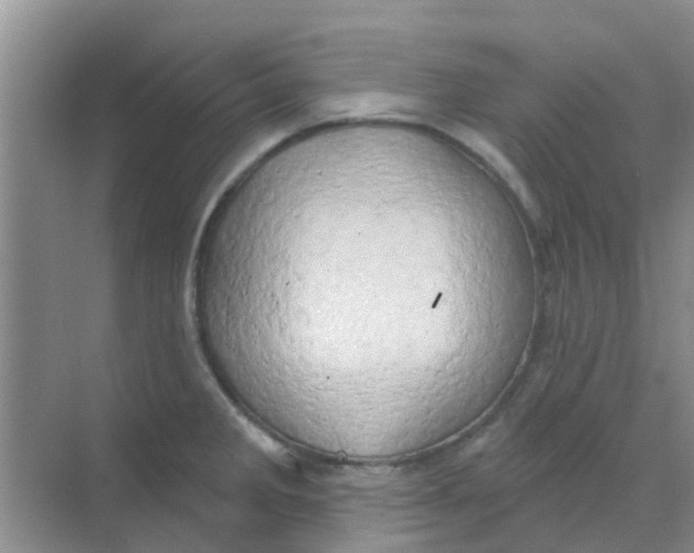 X0000068271285200605121836