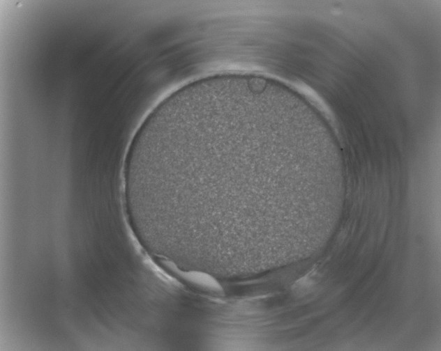 X0000068271287200605121836