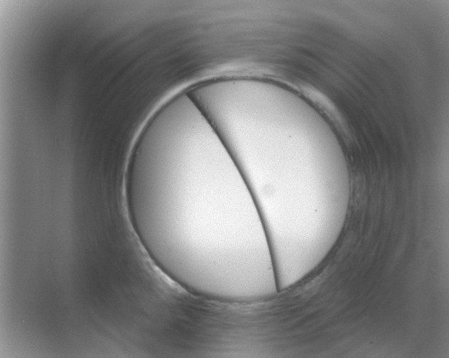 X0000068271288200605121836