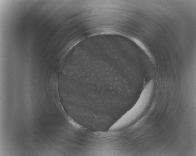 X0000068271289200605121836