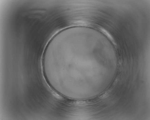 X0000068271291200605121836