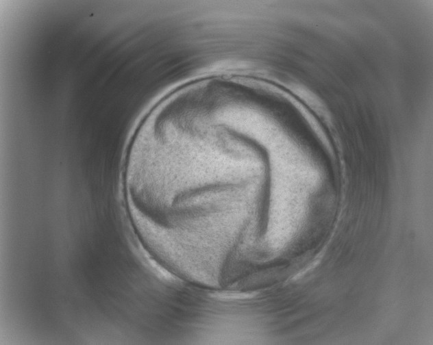 X0000068271296200605121836