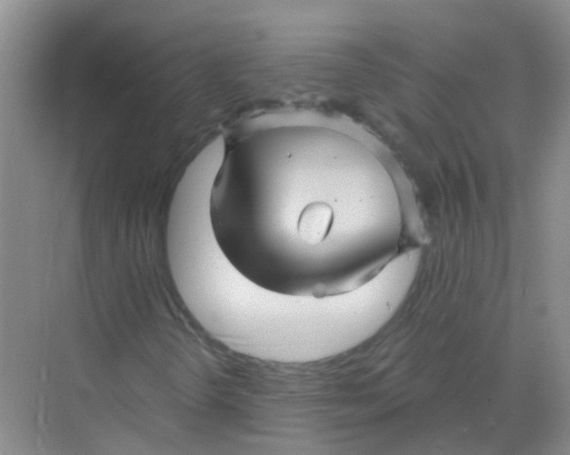 X0000068271298200605121835