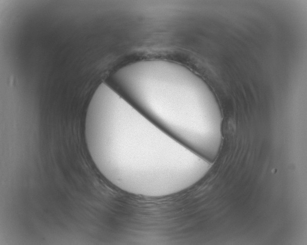 X0000068271300200605121835