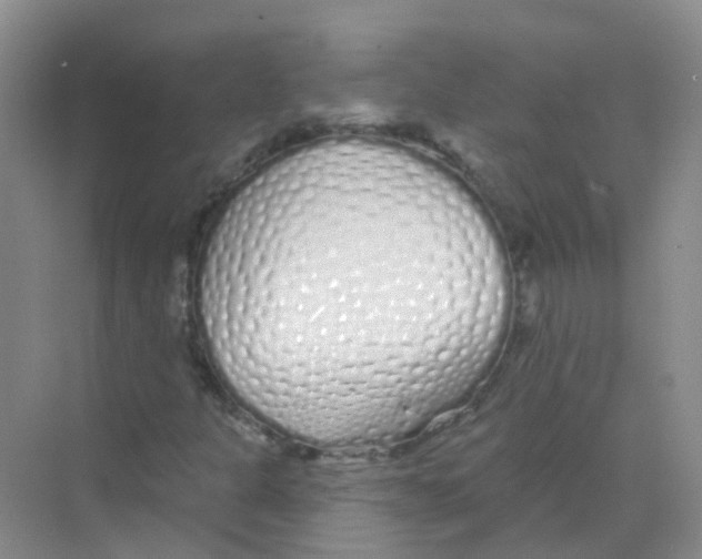 X0000068271301200605121835