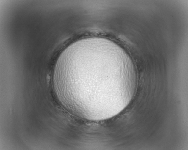 X0000068271302200605121835