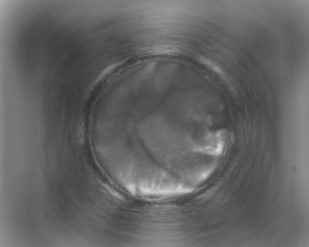 X0000068271306200605121835