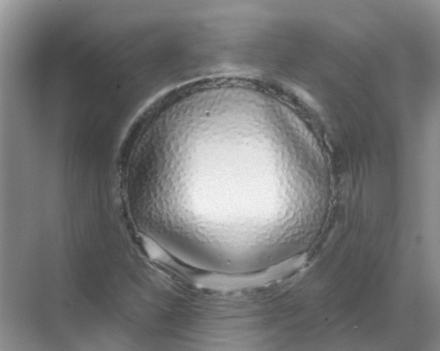 X0000068271310200605121836