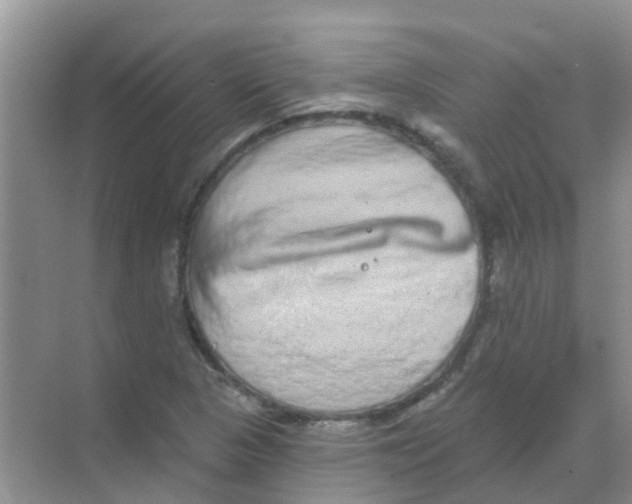 X0000068271313200605121836