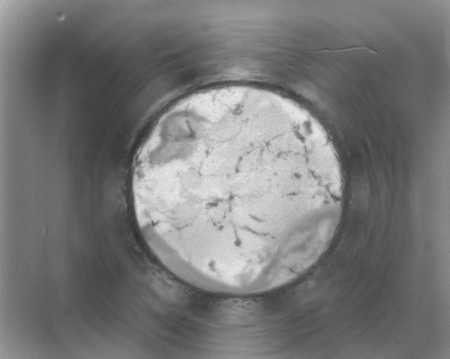 X0000068271314200605121836