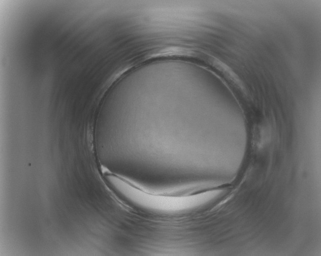 X0000068271321200605121836