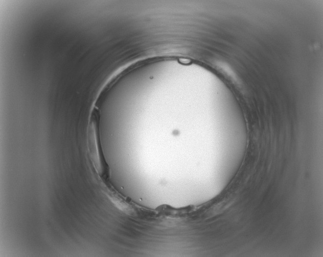 X0000068271324200605121836