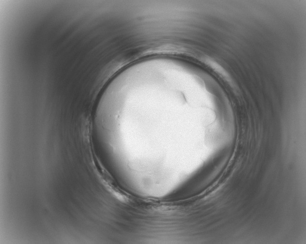 X0000068271329200605121836