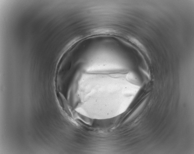 X0000068271330200605121836