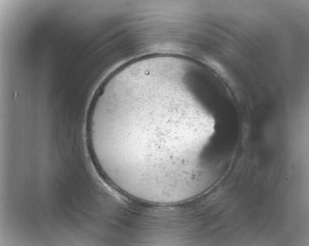 X0000068271331200605121836