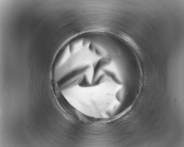 X0000068271332200605121836