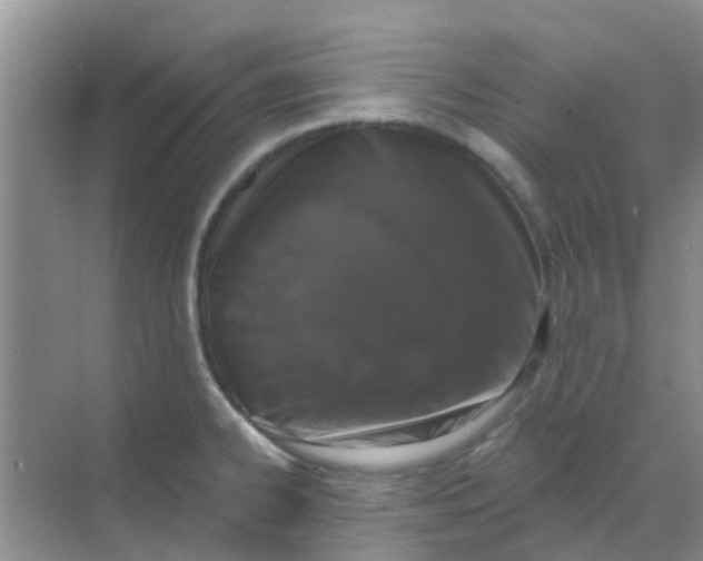 X0000068271334200605121836