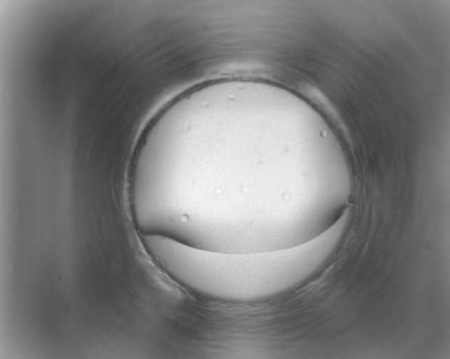 X0000068271336200605121836