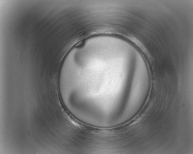 X0000068271337200605121836