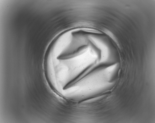 X0000068271339200605121836