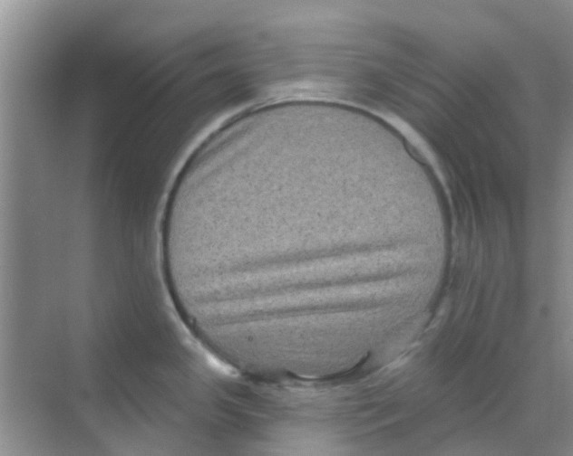 X0000068271341200605121836