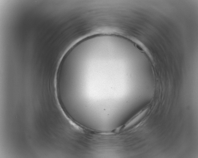 X0000068271343200605121836