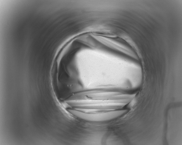 X0000068271344200605121836